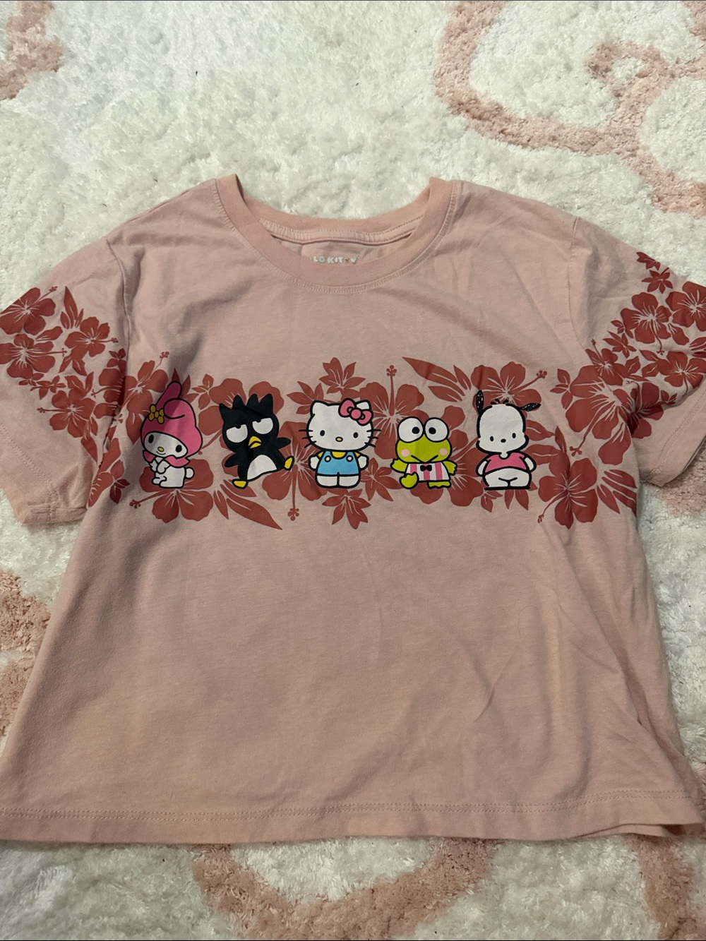 Hello Kitty Pink Tee with Floral & Character Row